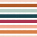 Stripe_Multicolor