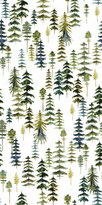 Timber Forest On White