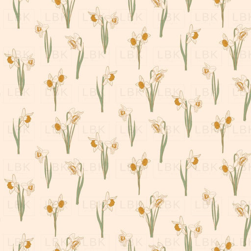 Tiny Daffodils - Cream