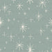 Twinkle Star- Dusty Teal