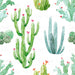 Watercolor Desert Cactus