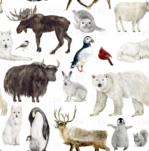 Winter Animals