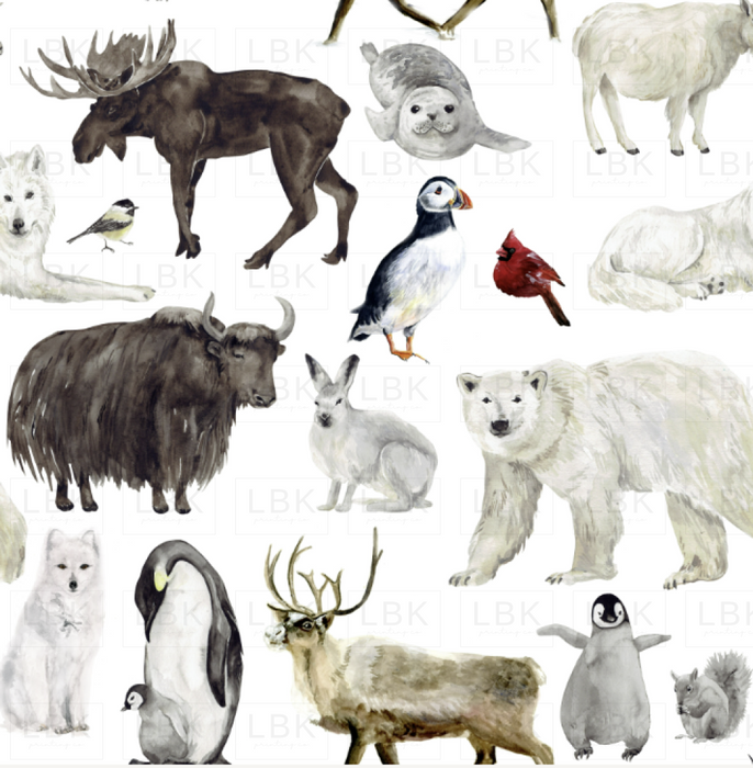 Winter Animals