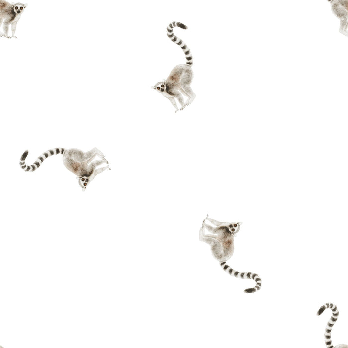 Cute Lemur 02