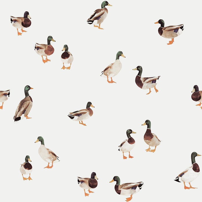 Little Duck Parade