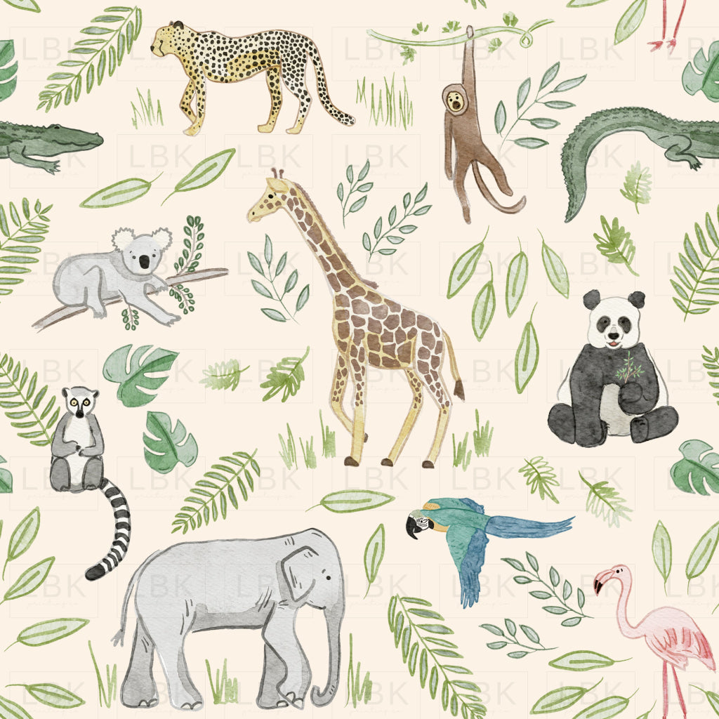Meet me at the zoo