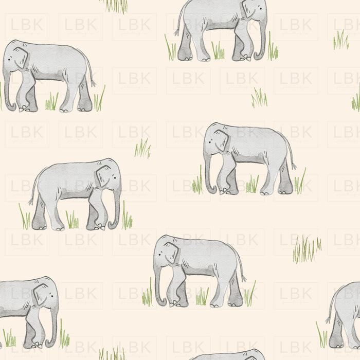 Zoo Elephant-Cream