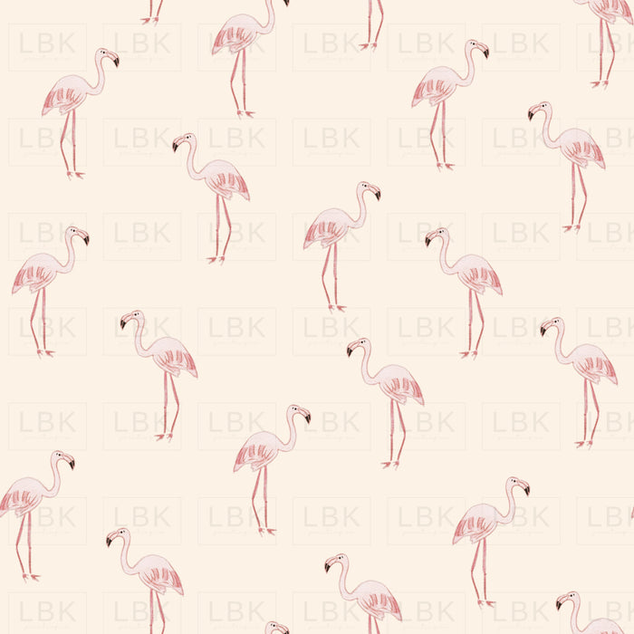 Zoo Flamingo- Cream