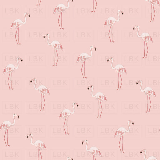 Zoo Flamingo- Light Pink