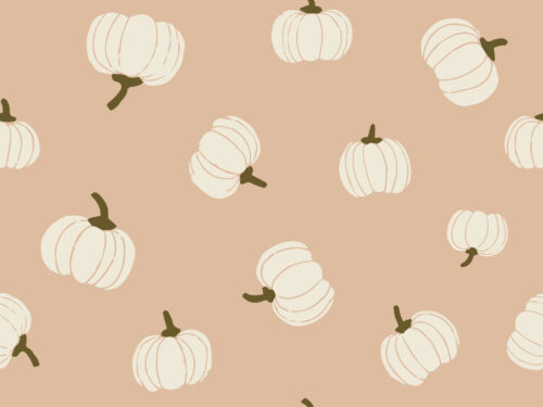 2021 Halloween - Spooktacular - Tossed cream Pumpkins on Blush Pink