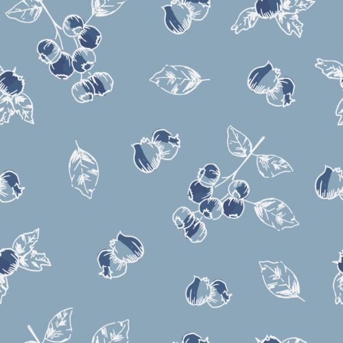 Blueberry Fields