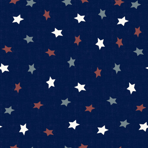 United We Stand in Deep Blue Small Scale