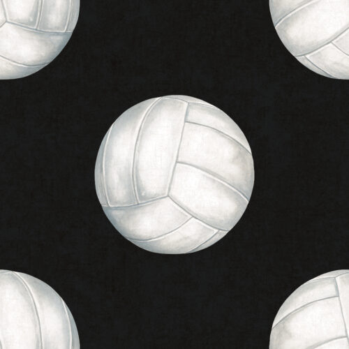 AllStar Volleyball Black Textured