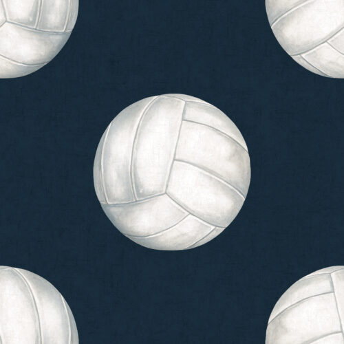 AllStar Volleyball NavyBlue Textured