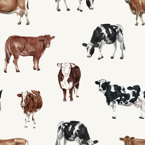 Cows Cream