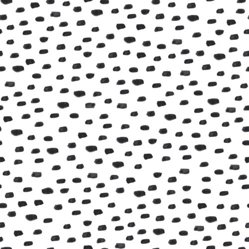 Black and White Boho Dashes