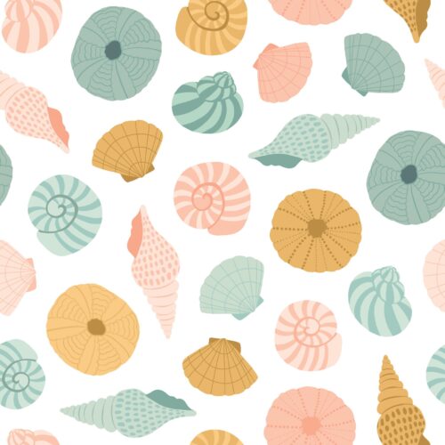 Mermaid Muse Shells
