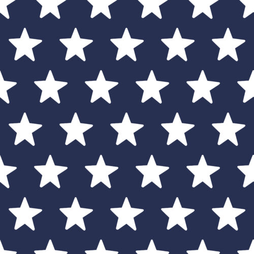 Navy Blue and White Stars 8x8
