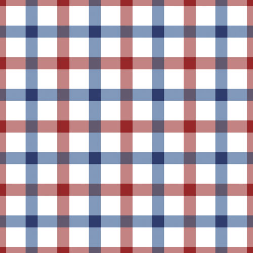 Red White and Blue Gingham 6x6