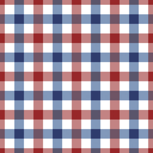 Red White and Blue Large Gingham 6x6