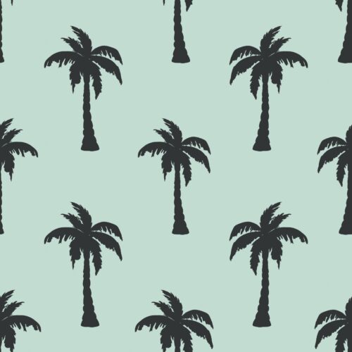 Pirates Ahoy Palmtree Silhouette Aquablack