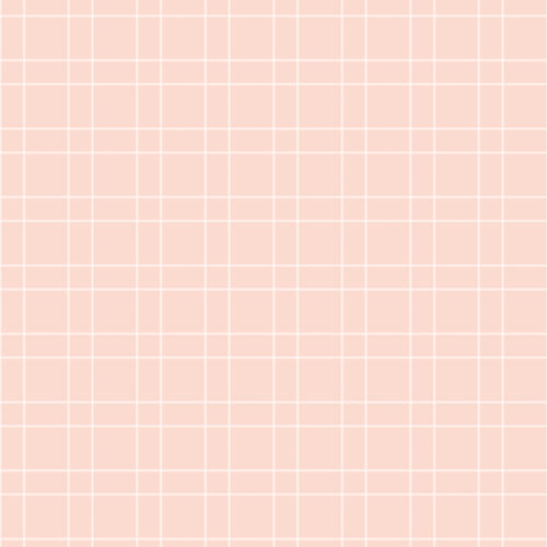 PinStripe Pink