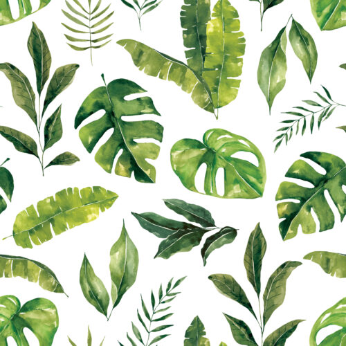 Foliage