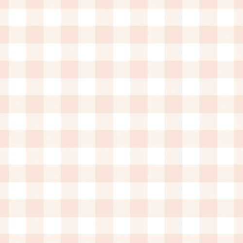 Vintage Spring Blush Pink Gingham