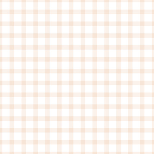 Vintage Spring Blush Pink Small Gingham