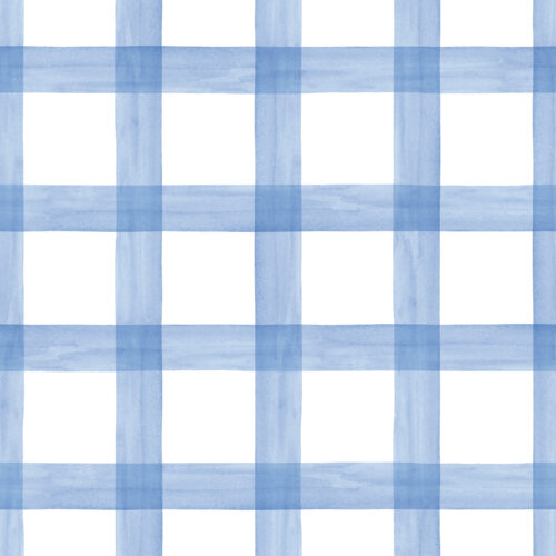 CR WildflowerFields Plaid Simple Blue