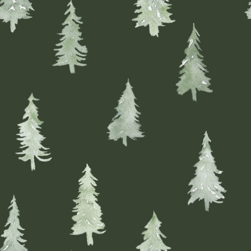 Pine Trees on Fern