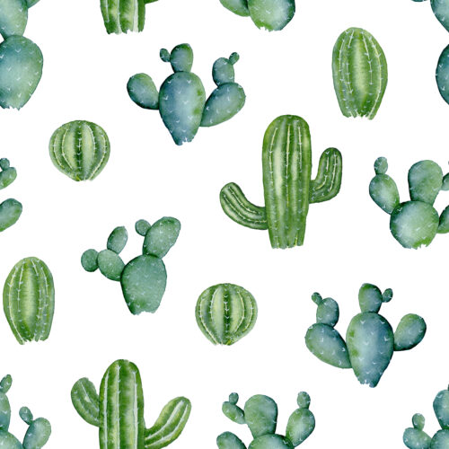 Desert Cacti