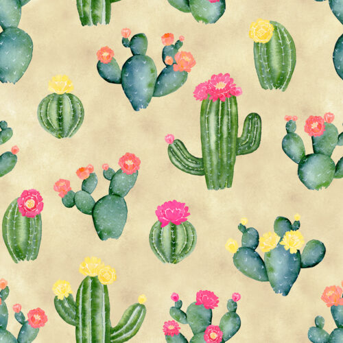 Flowering Cacti on Sand