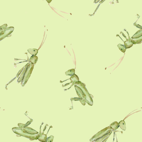 Fresh Cuts - Grasshopperpatternfill