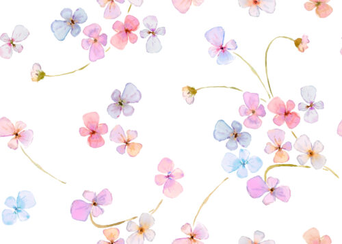 Fresh Cuts - Pansy1