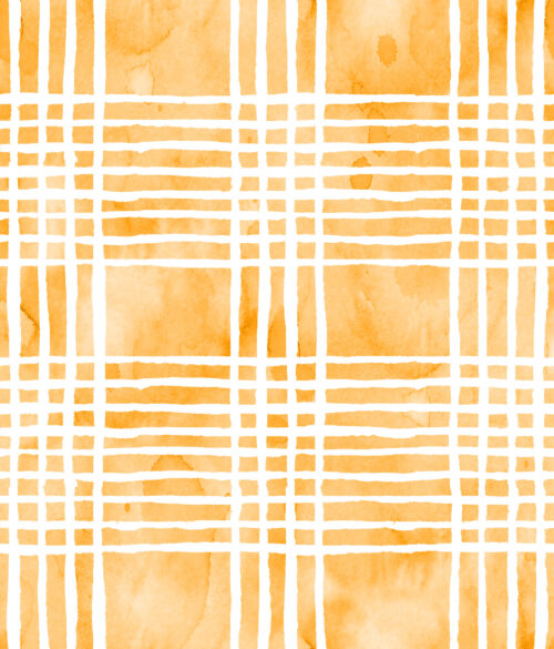 Hauntings - Haunting Watercolor Plaid Lt Orange 4