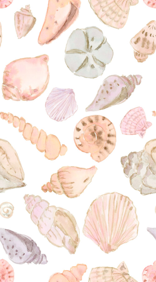 She Sells Seashells - Seashells