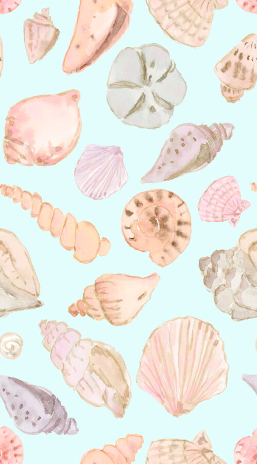 She Sells Seashells - Seashells In Tidepool
