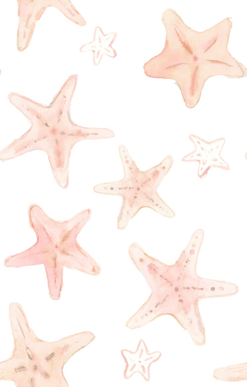 She Sells Seashells - Starfish On White