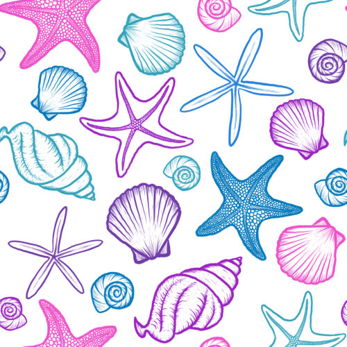 Seashells and Starfish