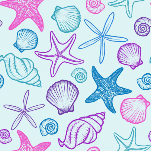 Seashells and Starfish Multicolor Seafoam