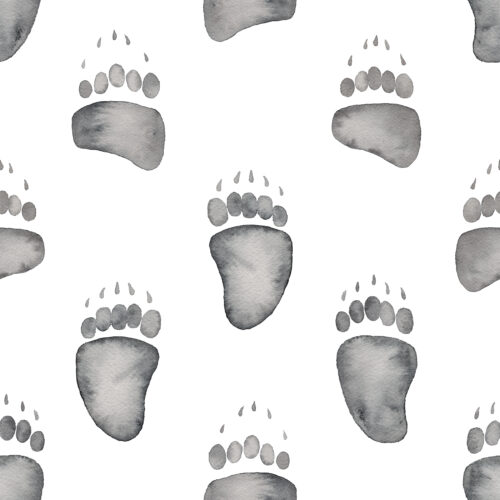 Watercolor Bear Tracks