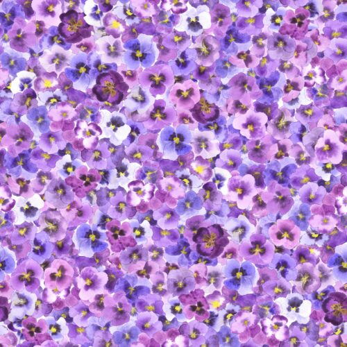 Purple Pansy Party