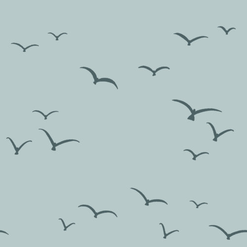 Sandcastle Seagulls - Light Blue