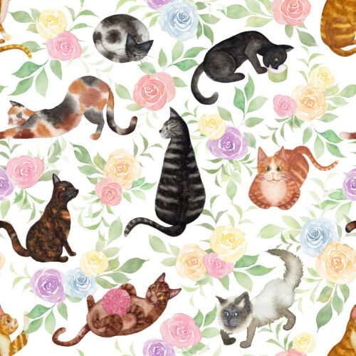 Whiskers and Blooms