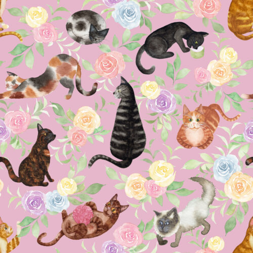 Whiskers and Blooms in Blush Pink