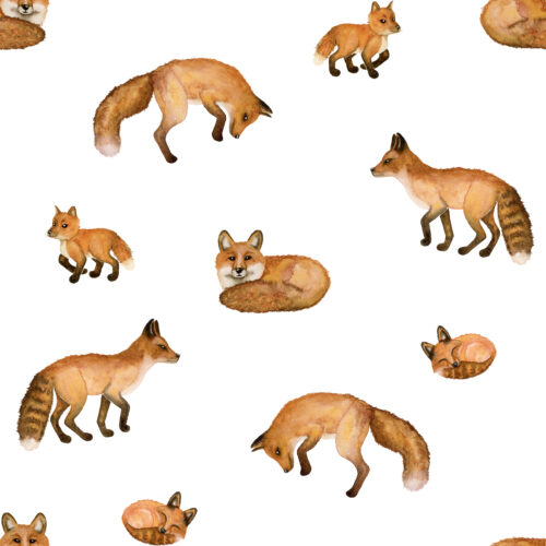 Clever Critters