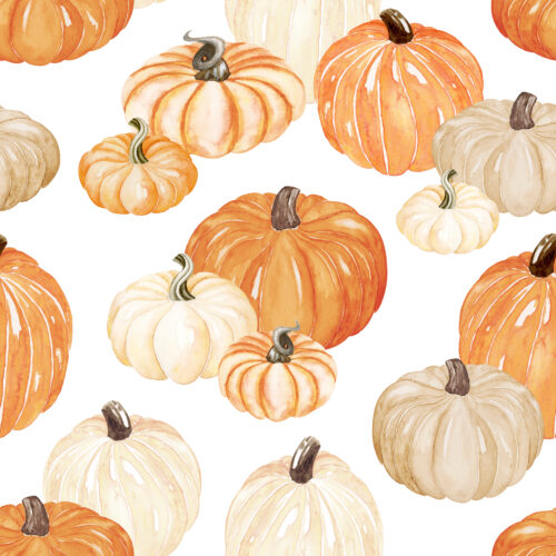 Harvest Hues