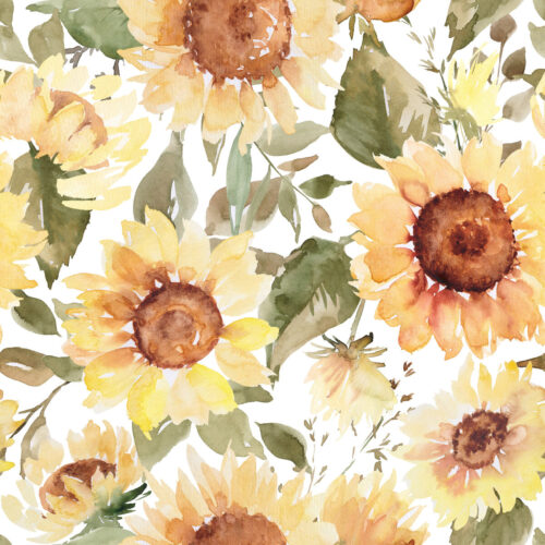 Watercolor Sunflower on White