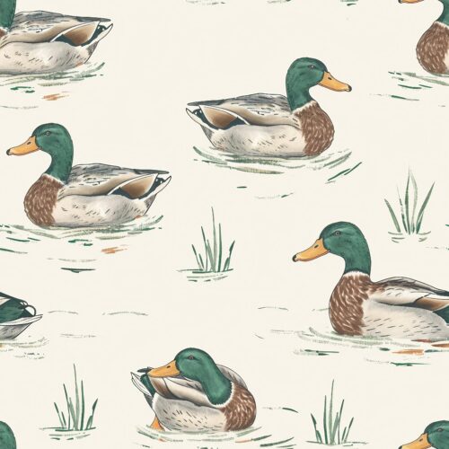 Duck mallard in pond